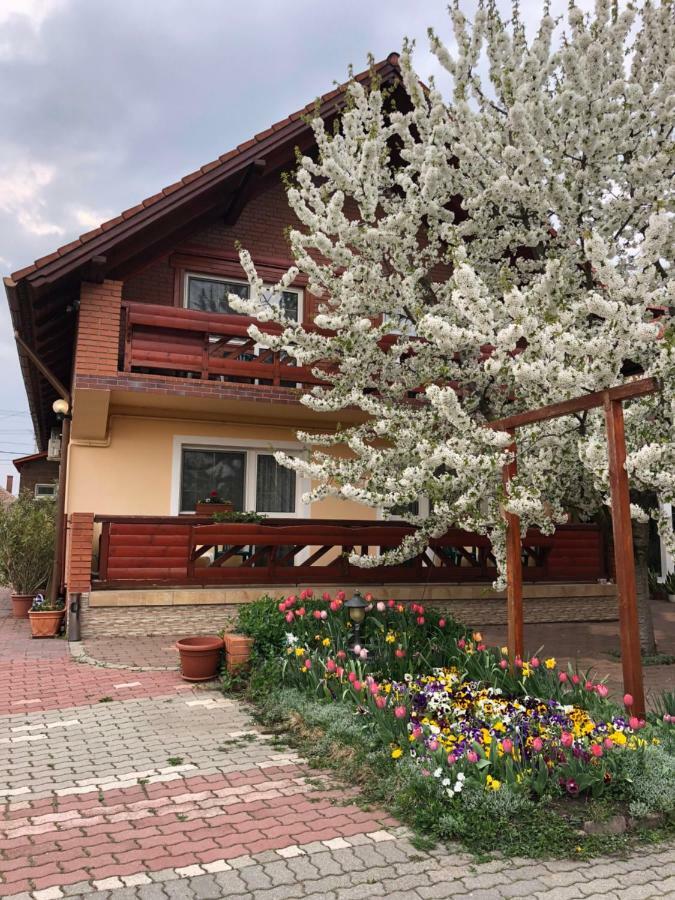 Bed and Breakfast Angela Panzio Береттьоуйфалу Экстерьер фото